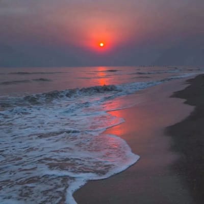 Marsinah Putri avatar